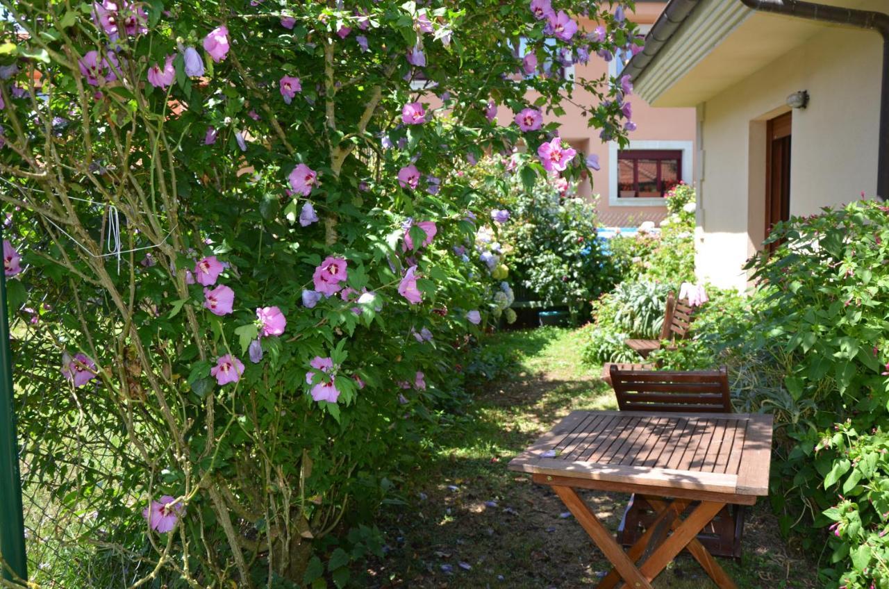 Hotel Arenas De Cabrales- Apartamentos Eksteriør billede