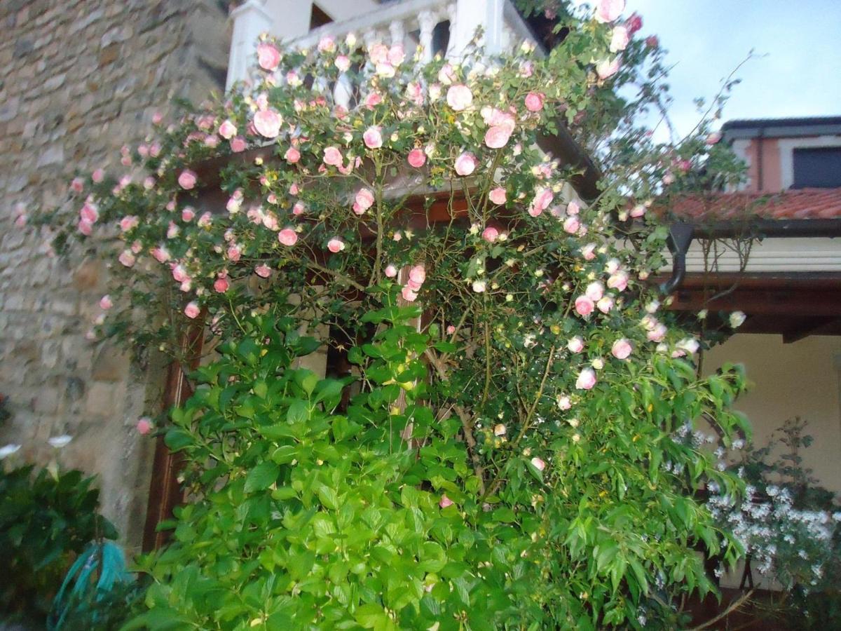 Hotel Arenas De Cabrales- Apartamentos Eksteriør billede